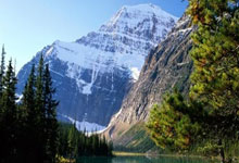 星空体育官网：带静电的十三哥前天.